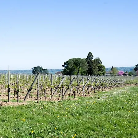 La Petite Campagne, Private Pool Juillac (Gironde)