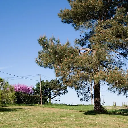 La Petite Campagne, Private Pool Σπίτι διακοπών Juillac (Gironde)